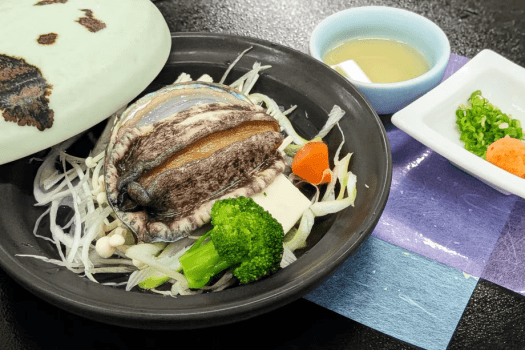 【迷ったらこれ！】鳥取和牛や海の幸を味わう 人気NO.1の山陰美食会席