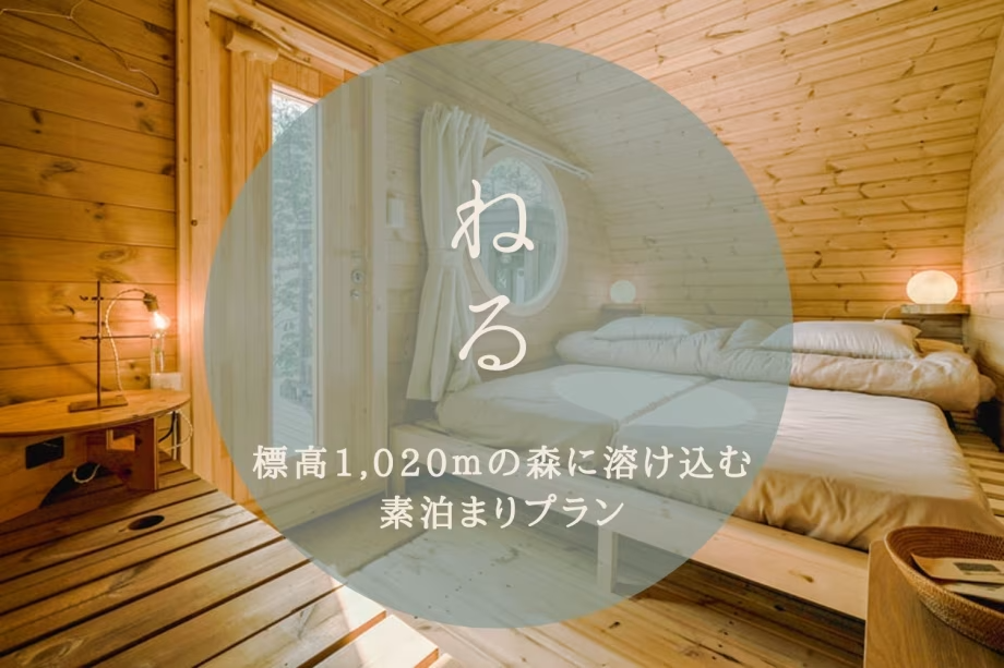 【🌿大人限定】素泊まりプラン“ねるプラン“ 絶景プライベートデッキで大自然を満喫