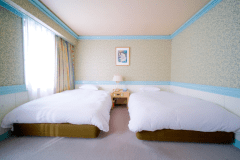 【禁煙】デラックスツインルーム/26.3m²