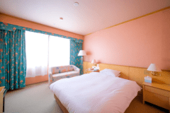 【禁煙】スタンダードダブルルーム/19.6m²