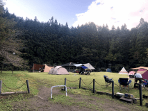 ゆーらんどフリーサイトA