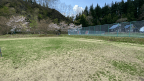 ゆーらんどフリーサイトB