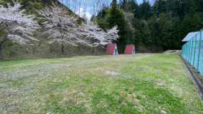 ゆーらんどフリーサイトC