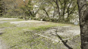 ゆーらんどオートサイト（AC電源付き）