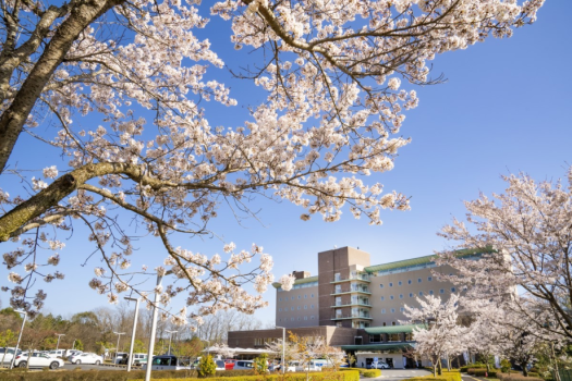桜と前景