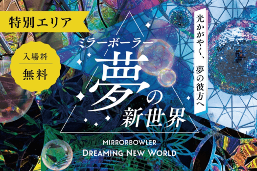 ミラーボーラー夢の新世界