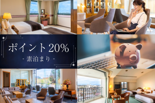 【ポイント20％ 素泊まり】次回の旅にも使えるポイント還元プラン！