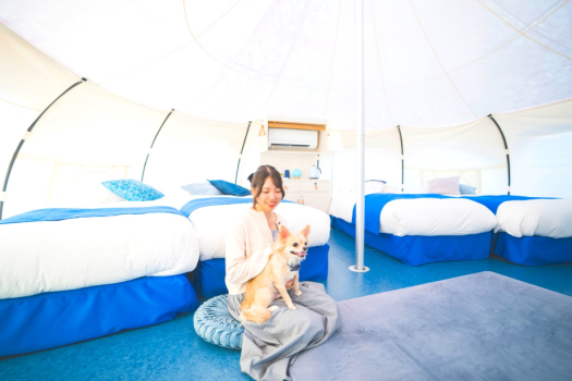 Setouchi（Dogスイート・ペット可・ドームテント）