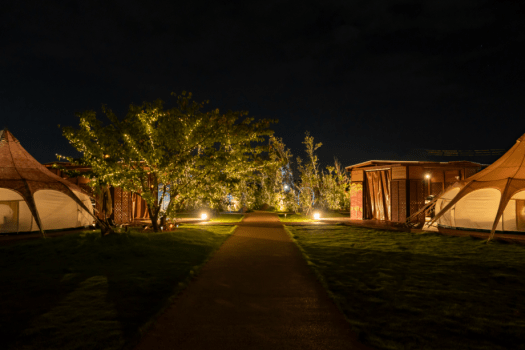 Xmas Premium BBQプラン【12月9日~12月25日限定】