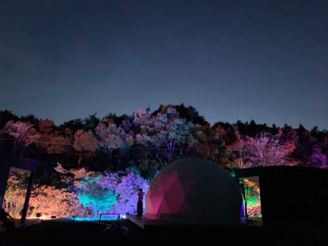 「ひかりと森の宴」光のアートで大切な人と未来の思い出をおつくり下さい