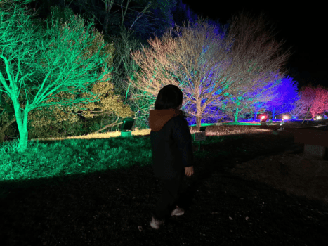 「ひかりと森の宴」
夜は施設の森側全面が光で彩られます。