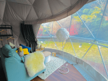 バードメッセージ