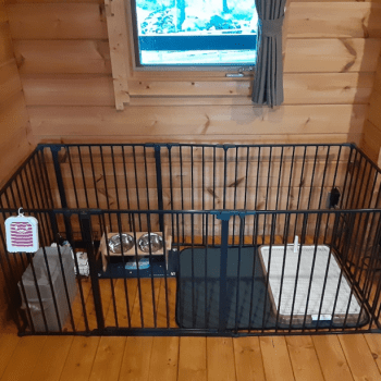 わんちゃん用グッズ