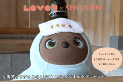 【一人旅でお部屋食！LOVOTオーナー限定！5大特典付】あなたのLOVOTと一緒に 温泉でゆっくりお寛ぎください！お部屋でLOVOTチャージも可能～ご夕食のメニューは選択ください～1日1組限定