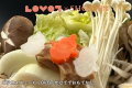 【LOVOTオーナー限定！5大特典付】あなたのLOVOTと一緒に 温泉でゆっくりお寛ぎください！お部屋でLOVOTチャージも可能～ご夕食のメニューは選択ください～1日2組限定