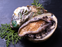 【デラックス会席プラン】鮑踊り焼き×伊勢海老（姿焼き×お造り）☆心と体を癒す贅沢な時間のお共に♪