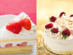 【記念日プラン】スパークリングワイン＆ケーキ付き♪お誕生日や結婚記念日などの特別な日はこのプラン☆彡