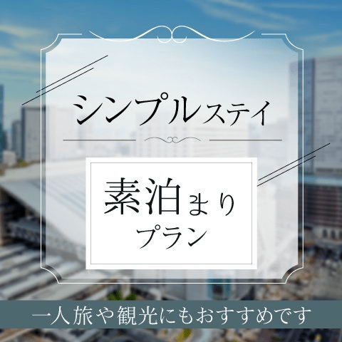 小田原ターミナルホテル プランの詳細 素泊り 小田原駅より徒歩1分 遅いチェックインもok スタンダードプラン