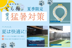 【ワンちゃんの夏対策】ワンちゃん用のクールネック、プール、ミストシャワーなど、暑い夏でも楽しく遊べるような対策グッズをご用意しております。