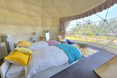 【NEW】ラグジュアリードーム