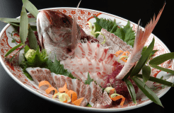 フグもタコも地魚も！！地元特産とらふぐの■ふぐ刺し■付き海鮮満喫プラン【１０月・１１月】限定