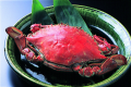 旬の味覚☆渡り蟹と地魚プラン【7月～10月】