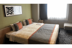 Prime Deluxe King Room