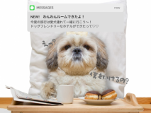 【ドッグフレンドリー】お部屋タイプおまかせ 【ドッグフレンドリー】お部屋タイプおまかせ