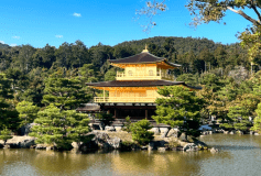 金閣寺・嵐山など京都の観光スポットへ毎日運行！（要予約）