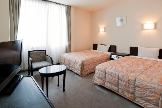 Twin room (non-smoking) Twin room (non-smoking)