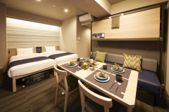 [Non Smoking]Superior King Room