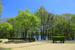 緑に囲まれたサイトで、秋の紅葉時期は見どころスポットです。