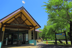 日帰りプラン（デイキャンプ）