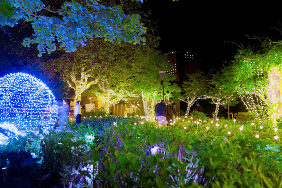 【JOZANKEI NATURE LUMINARIE】メインの二見吊橋では、マッピングと照明による演出が 【JOZANKEI NATURE LUMINARIE】メインの二見吊橋では、マッピングと照明による演出が