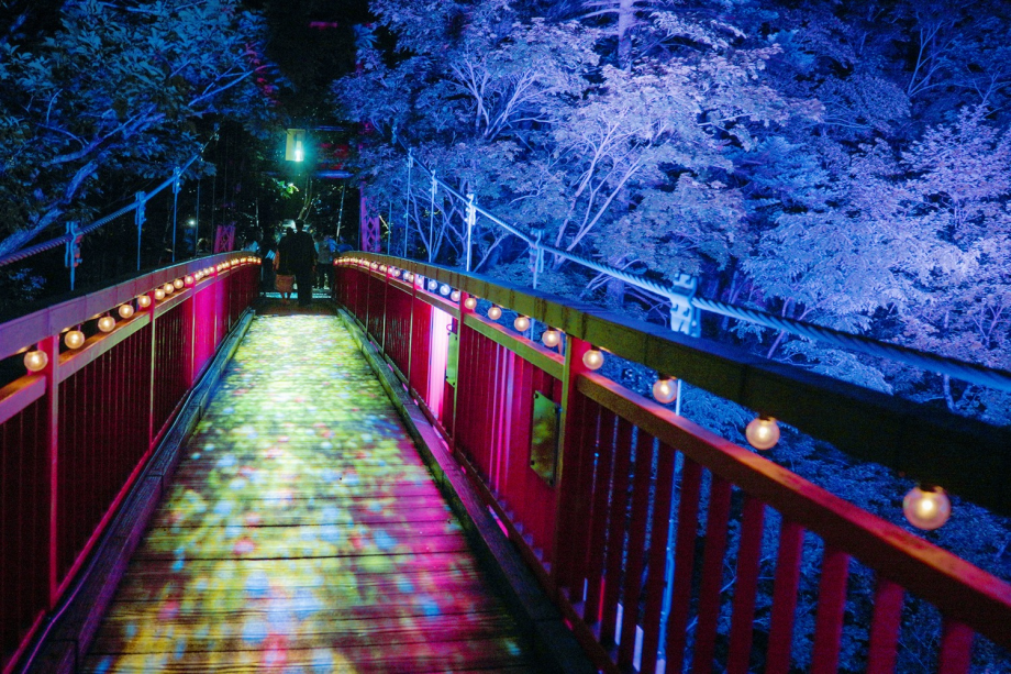 【JOZANKEI NATURE LUMINARIE】メインの二見吊橋では、マッピングと照明による演出が