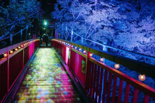 【JOZANKEI NATURE LUMINARIE】メインの二見吊橋では、マッピングと照明による演出が