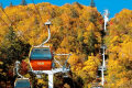 【札幌国際スキー場】紅葉時期に特別運行されるゴンドラ。山頂からは遠く石狩湾が一望できる