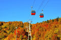 【札幌国際スキー場】紅葉時期に特別運行されるゴンドラ。山頂からは遠く石狩湾が一望できる