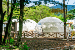 【大自然の清流の音色と最高の星空が味わえるグランピング】和牛サーロインや地元食材のBBQでグランピング!星空とせせらぎの中でのラグジュアリーアウトドア体験を♪チェックインの日にしいたけ狩り無料体験(土曜、休前日を除く平日(日曜含む)14：00～16：00の間に大人1人2個まで)が出来ちゃいます♪