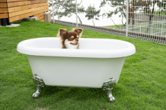 ◇夏旅◇🐾 《直前割》愛犬と一緒に泊まる宿　1co.ITOSHIMA ＜お食事セレクト＞