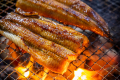 【京都丹波鶏のヘルシーグランピングBBQ/一泊二食】厳選された京都丹波鶏を味わうヘルシーな京風グランピングBBQ♪【京都RETOUR京北】