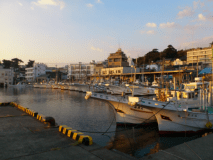 海の幸が一杯!! 海鮮プラン。