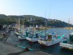 海の幸が一杯!! 海鮮プラン。産地が曖昧な伊豆近海産では無く、稲取産の金目鯛を用いた姿造りの船盛り、姿煮付き