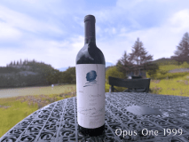 【ワイン好きのあなたに】ステーキディナー＆ヴィンテージワイン付きステイ（個室カラオケ利用無料！）