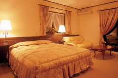 客室一例（海側｜ダブルベッド）。カップルやご夫婦に人気の客室♪もちろんペットも入室ＯＫ！