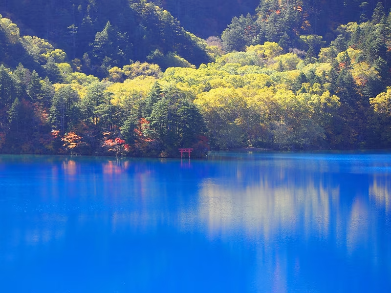 大沼池 大沼池