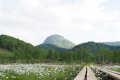 田ノ原湿原