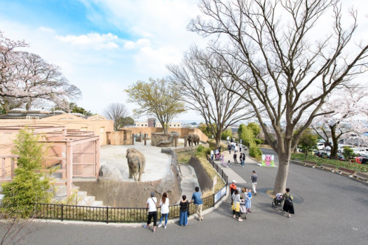 【久慈サンピア日立】周辺の観光◆かみね動物園…車で約35分
