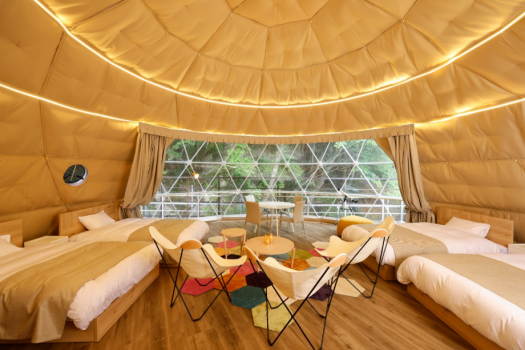 【No Smoking】 Glamp D（up to 6 guests）pet not allowed  [lit-up forest side]