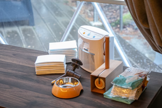 【No Smoking】 Glamp C（up to 4 guests）pets allowed  [lit-up forest side]